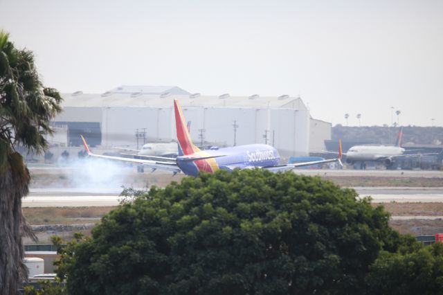 Boeing 737-800 (N8316H)