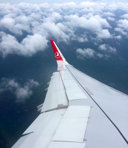 Airbus A321 (TC-JSP) - On approach to Istanbul Ataturk Airport