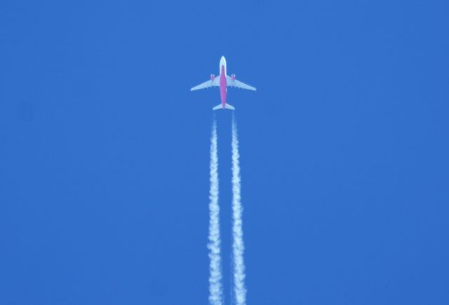 Airbus A330-300 (D-ALPI) - 40,000 FEET FLY OVER MIAMI