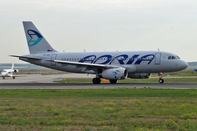 Airbus A319 (S5-AAR)