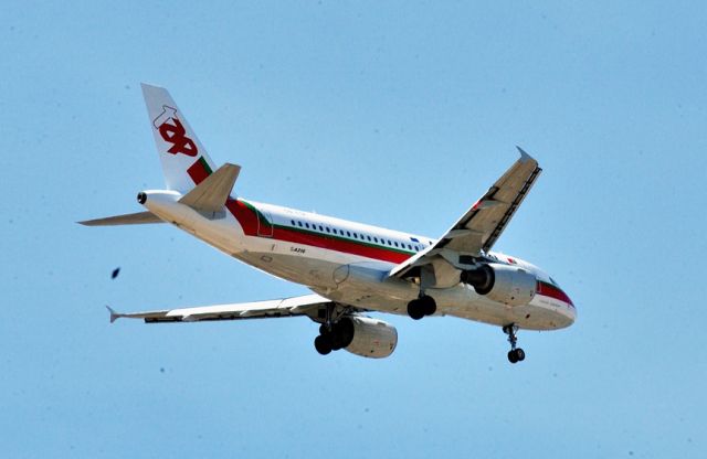 Airbus A319 (CS-TTF) - Old livery, much nicer and original then present... 2003 Calouste Gulbenkian over Gulbenkian Gardens