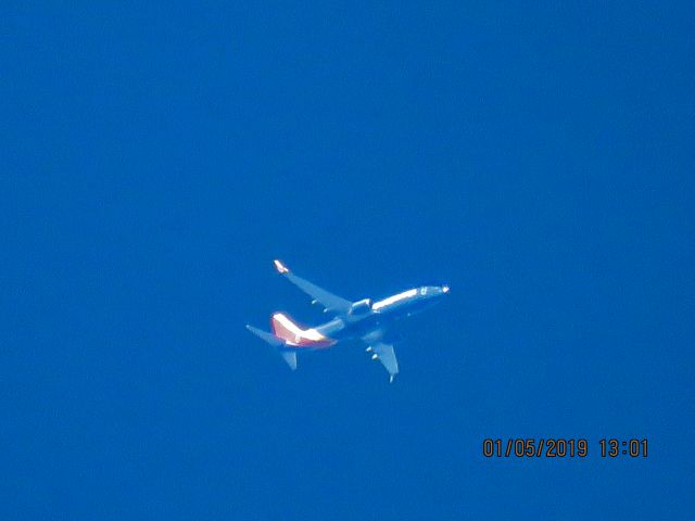 Boeing 737-800 (N8315C)