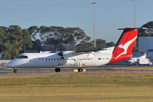 de Havilland Dash 8-300 (VH-TQM) - ADELAIDE AIRPORT, Thursday March 17, 2022