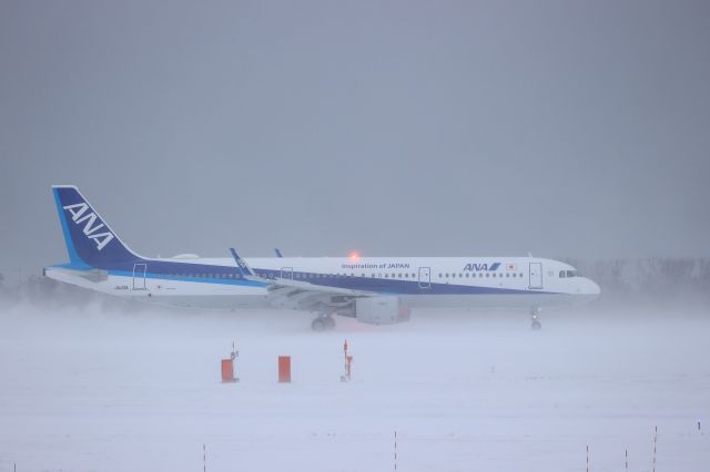 Airbus A321 (JA113A) - December 14, 2022:HND-HKD.