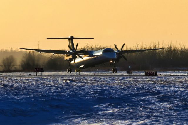 de Havilland Dash 8-400 (C-GLQN) - Arriving from Fredericton with the sun at her 1600.