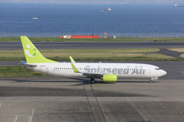 Boeing 737-800 (JA802X)