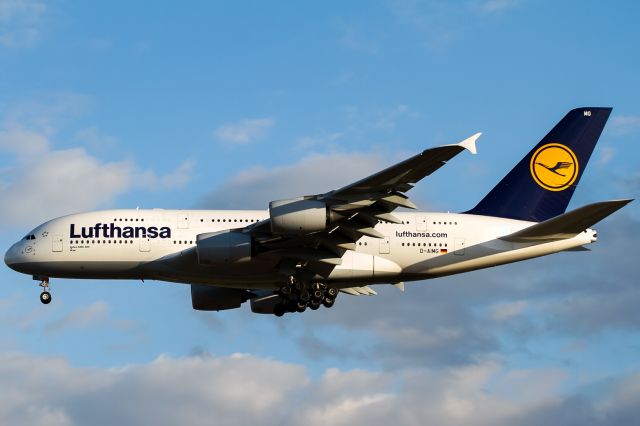 Airbus A380-800 (D-AIMG)