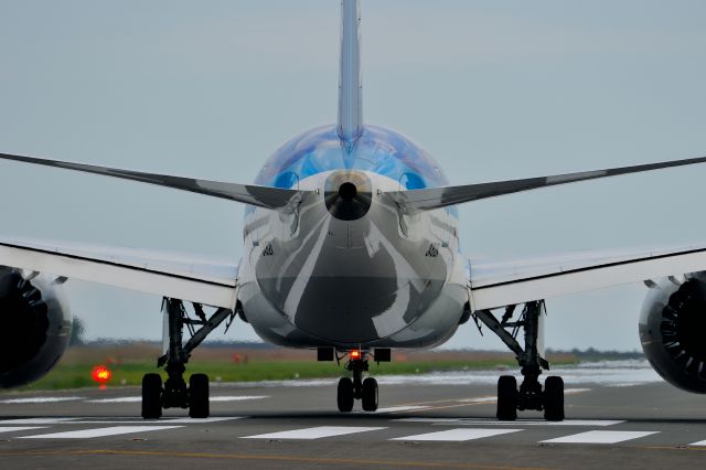 Boeing 787-8 (JA812A)