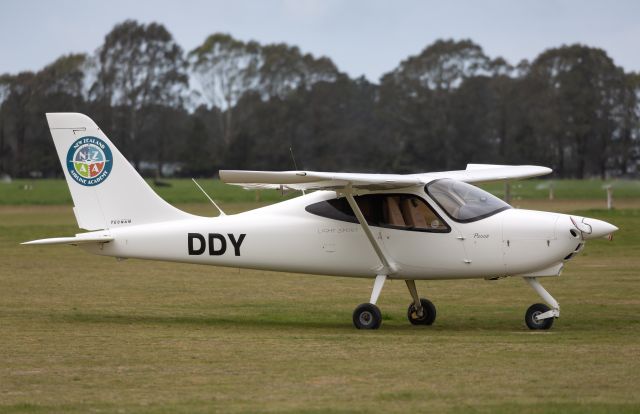 TECNAM P-2008 (ZK-DDY)