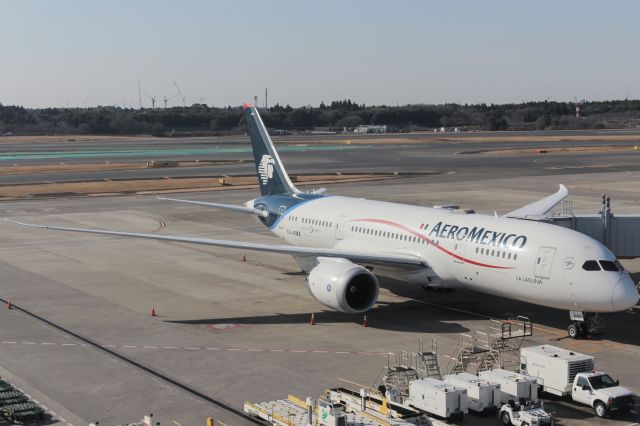 Boeing 787-8 (XA-AMX)