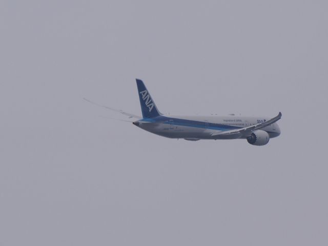 Boeing 787-8 (JA871A)