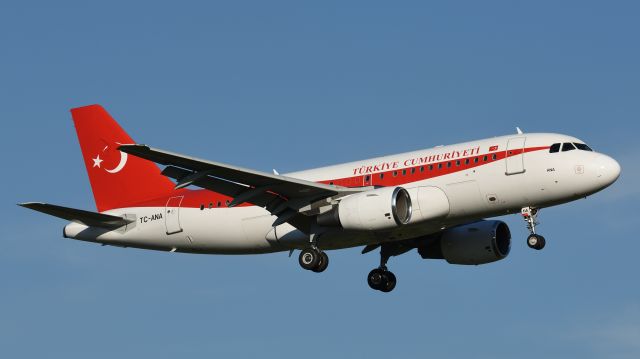 Airbus A319 (TC-ANA)