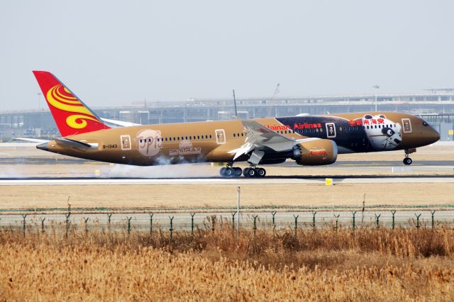 Boeing 787-9 Dreamliner (B-1343) - The first flight for the latest Hainan Airline  Kungfu panda livery B789