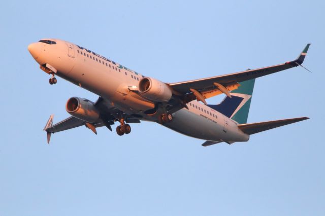 Boeing 737-800 (C-FRWA)