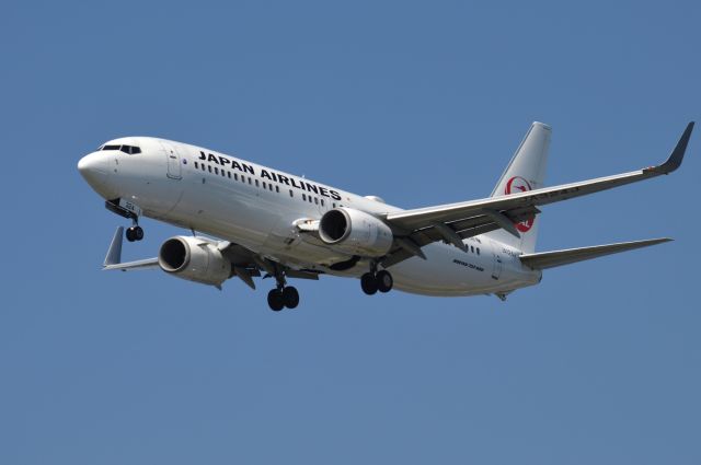 Boeing 737-800 (JA324J) - 2019-09-02