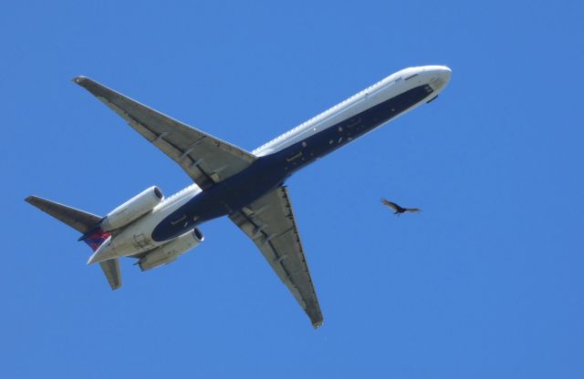 McDonnell Douglas MD-88 (N905DL) - Shown here departing is a Delta Airline McDonnell Douglas MD-88 in the Summer of 2018.br /Not determined whether the hawk was coming or going. 