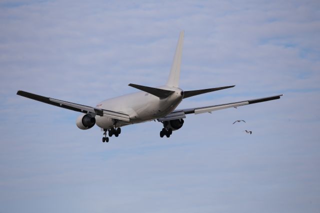 BOEING 767-300 (N762CK)