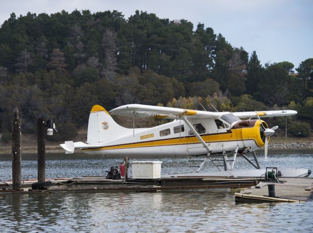 De Havilland Canada DHC-2 Mk1 Beaver (N5220G) - 1955 DeHavilland Beaver DHC-2 MK.1