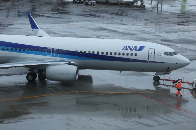 Boeing 737-800 (JA65AN)