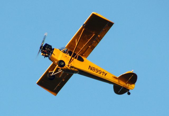 Piper L-21 Super Cub (N8991Y)