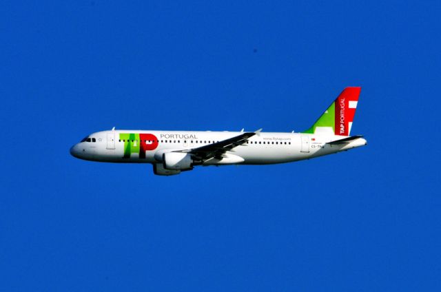 Airbus A320 (CS-TNQ) - The Fleet my wretched son flies everyday, stealing my dreams...