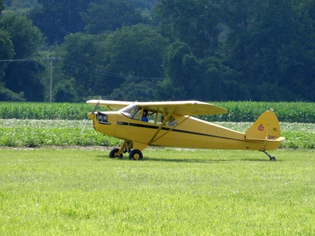 Piper L-14 Cub Cruiser (N38633)