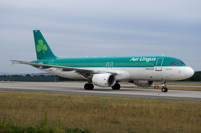 Airbus A320 (EI-DVJ)