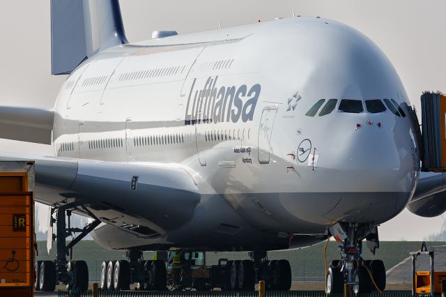 Airbus A380-800 (D-AIML)