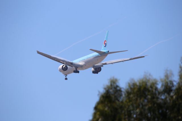 BOEING 777-300ER (HL8007)