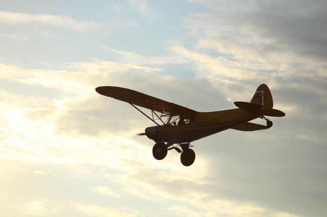 Piper L-21 Super Cub (N218MA)