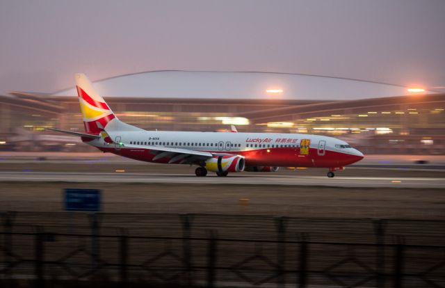 Boeing 737-800 (B-6016)