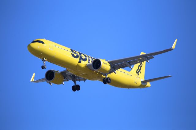 Airbus A321neo (N703NK)