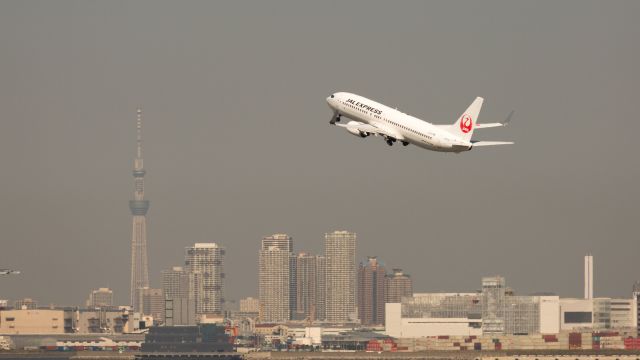 Boeing 737-800 (JA314J) - Boeing 737-846br /October.18.2014 Tokyo International Airport [HND/RJTT] JAPAN