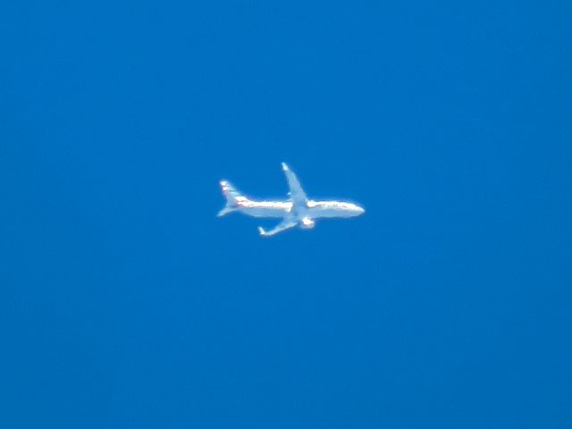Boeing 737-800 (N959AN)