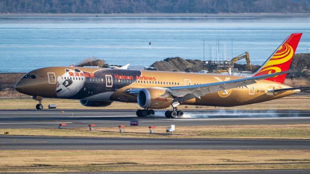 Boeing 787-8 (B-1343) - Kung Fu Panda arriving 4Rbr /12/1/18