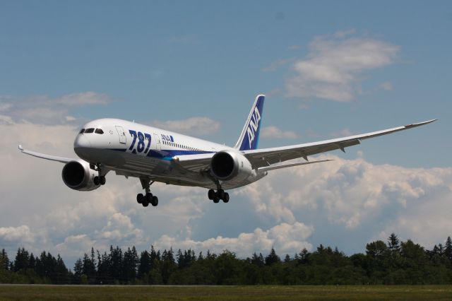 Boeing 787-8 (JA809A) - ANA 787 landing after a test flight.