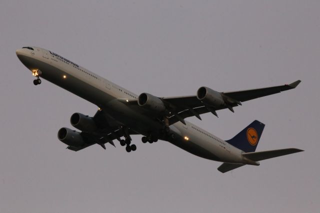 Airbus A340-600 (D-AIHY)