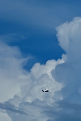 de Havilland Dash 8-100 (JA859A)