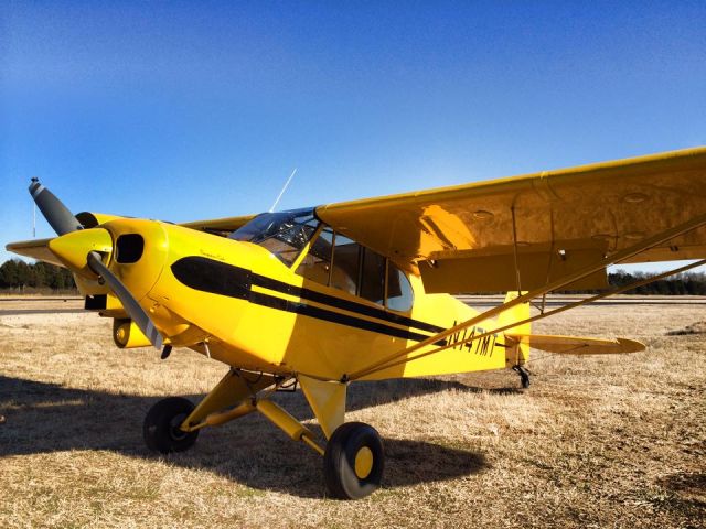 Piper L-21 Super Cub (N147MT) - MTSU's tail wheel training aircraft.