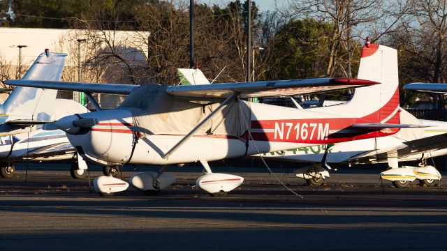 Cessna 175 Skylark (N7167M)