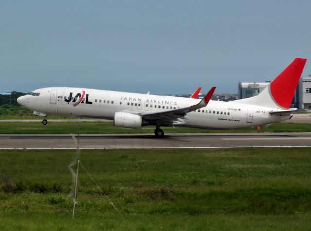 Boeing 737-800 (JA317J)