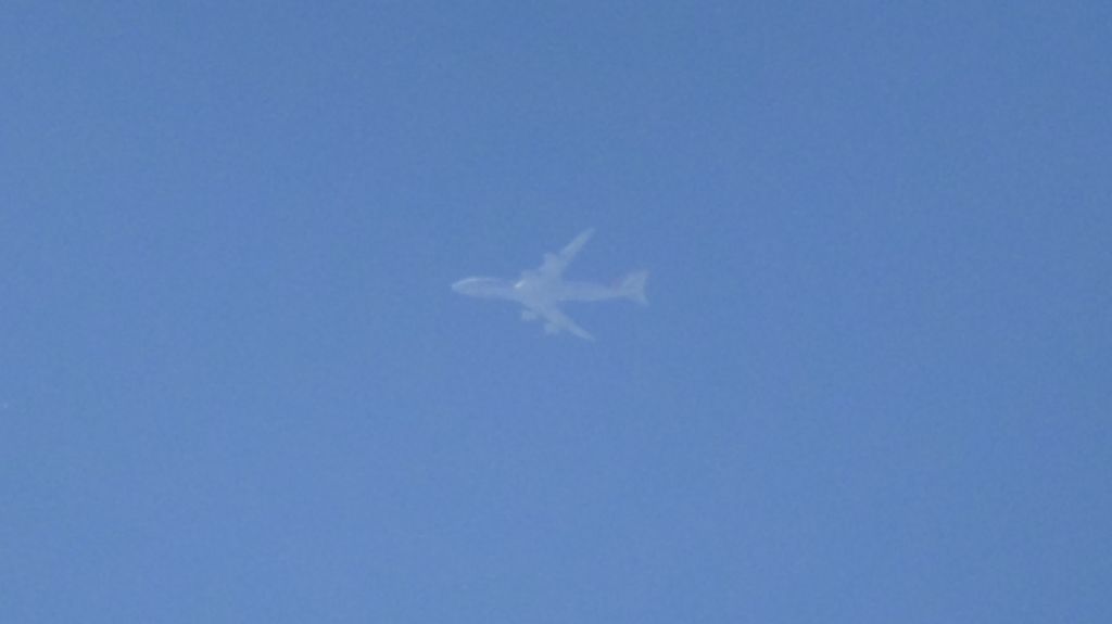 BOEING 747-8 (LX-VCJ)