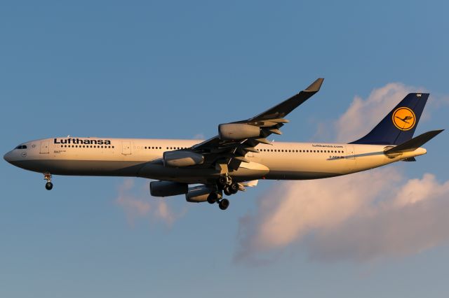 Airbus A330-300 (D-AIGW) - evening