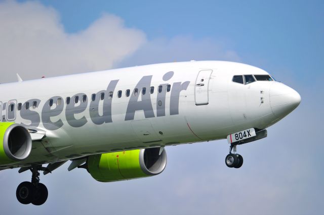 Boeing 737-800 (JA804X)