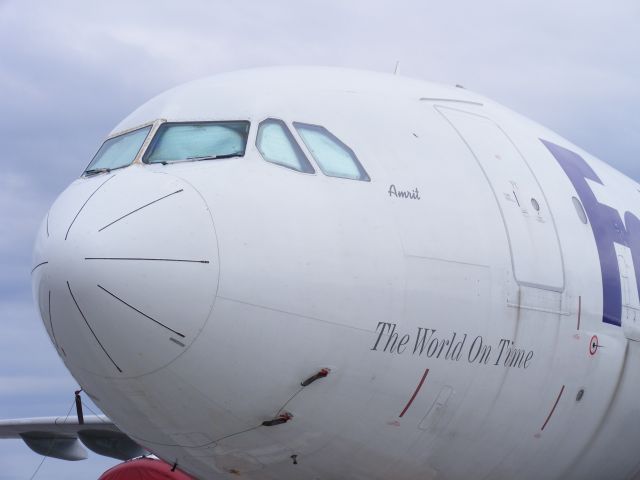 Airbus A310 (N670FE) - the name AMRIT on the nose