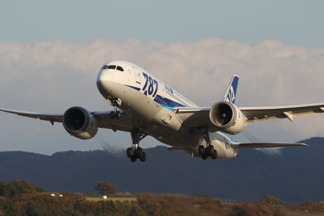 Boeing 787-8 (JA818A) - 29 October 2016:HKD-HND.