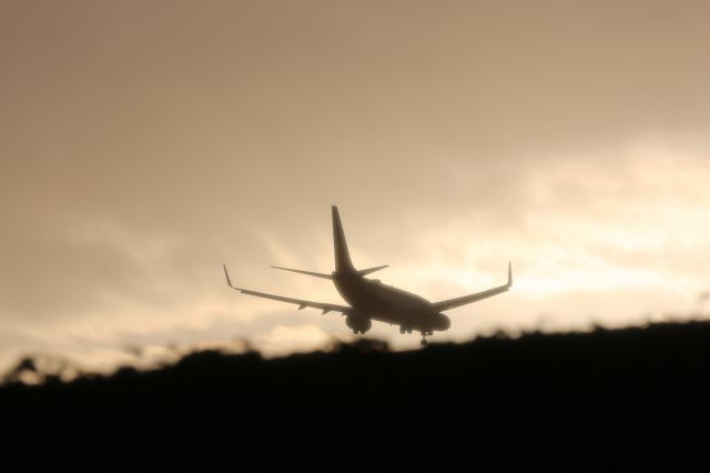Boeing 737-800 (N803NN)