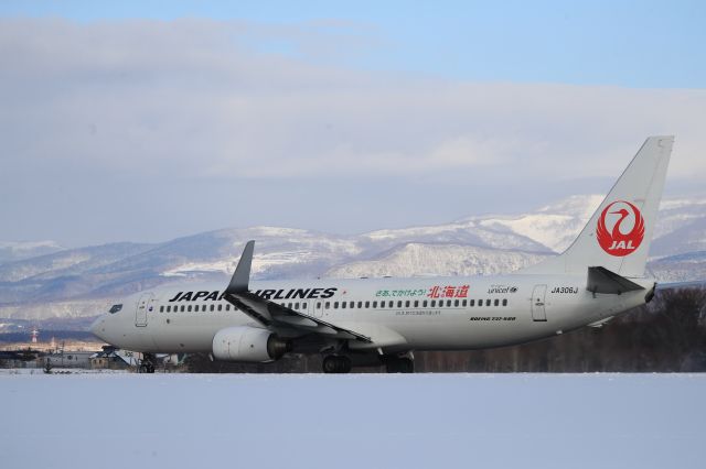 Boeing 737-800 (JA306J) - January 3rd 2019:HKD-HND.