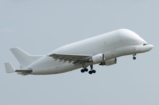 SATIC Super Transporter (F-GSTF) - Airbus A300F4-600 Beluga N°5