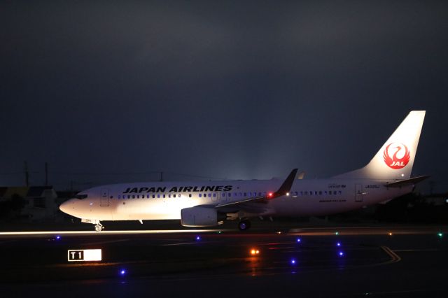 Boeing 737-800 (JA326J) - July 28th 2020:HKD-HND.